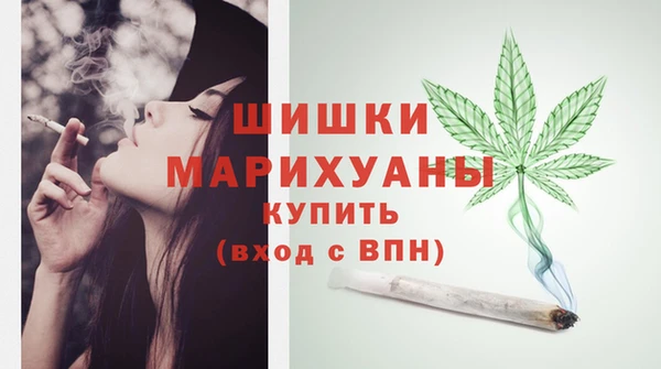 ГАЛЛЮЦИНОГЕННЫЕ ГРИБЫ Покровск