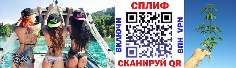 Шишки марихуана семена  Купить где  Сясьстрой 